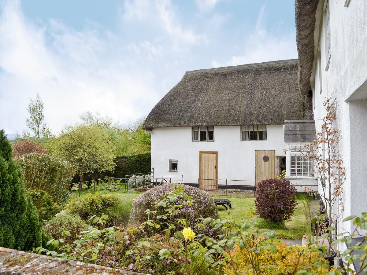 °MEADOW COTTAGE NORTH TAWTON (United Kingdom) | BOOKED